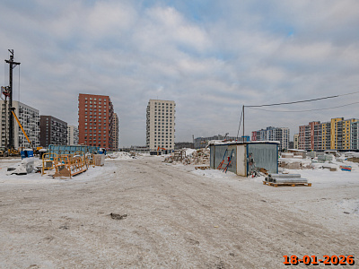Янинский лес