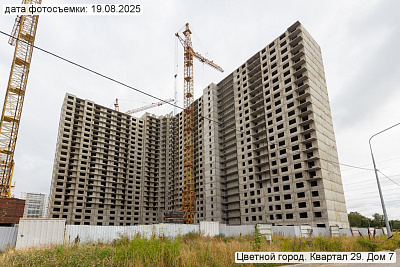Цветной город