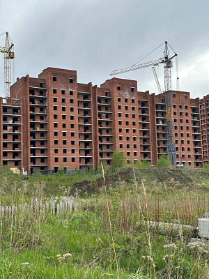г. Томск, Улица Петра Федоровского