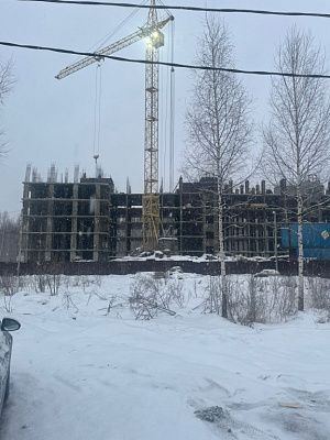 г. Ярославль, Улица Дядьковская