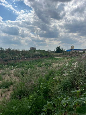 Село Красная Зорька
