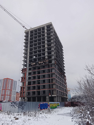 Норвежский лес