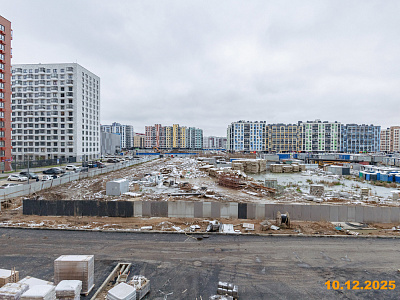 Янинский лес