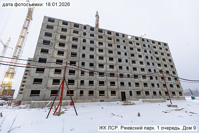ЛСР. Ржевский парк