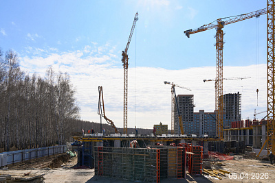 СЕЗОНЫ
