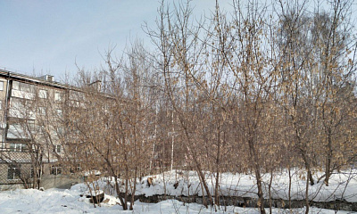 г. Новосибирск