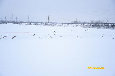 Рассвет
