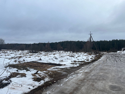Звездная роща