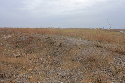 Новый Ростов 81 Литер