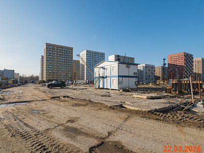 Янинский лес