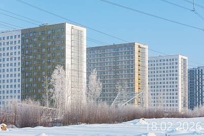 Парголово