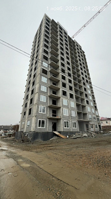 г. Большой Камень, Улица Ленина