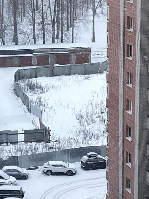 Макаринская роща