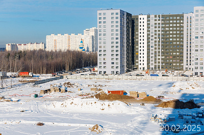 Парголово