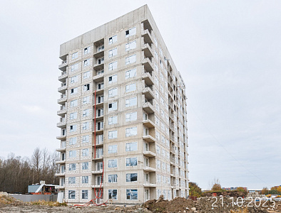 Новоселье
