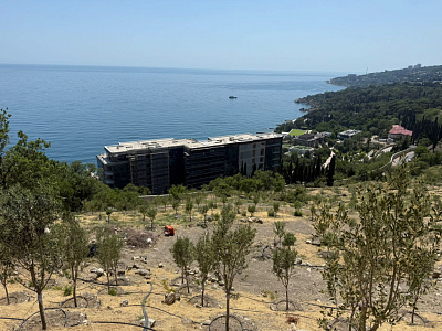 г. Ялта, Шоссе Дворцовое