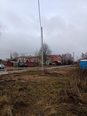 Звездная роща