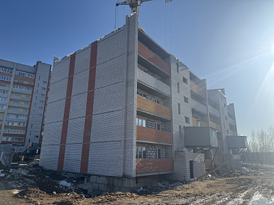 Деревня Новосельцы