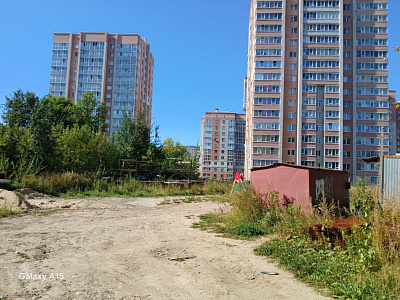 Макаринская роща