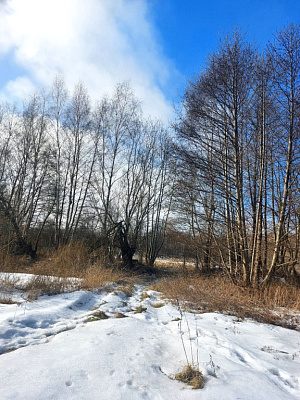 Комплекс апартаментов OTRADA resort