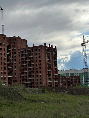 г. Томск, Улица Петра Федоровского