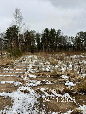 г. Чайковский, Улица Ленина
