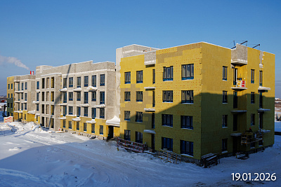 Смородина