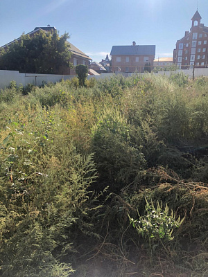 г. Оренбург