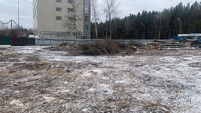 Кварталы Отрада