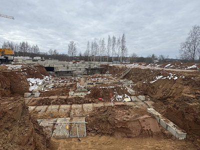 Деревня Новосельцы