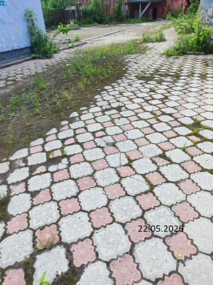 Белый