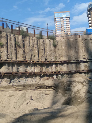 Сакура парк