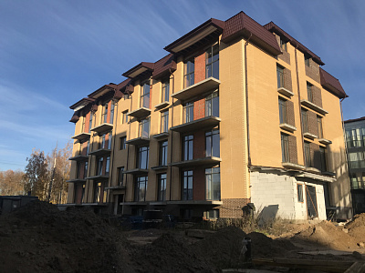 ЛО, Деревня Заневка