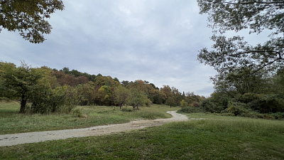 Село Агой