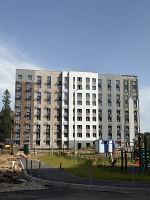 МО, Поселок городского типа Радумля, район ММС-2