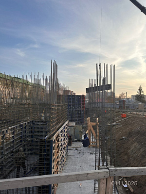 Северное сияние Бизнес