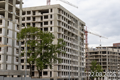 Скандинавия