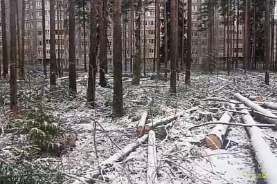 ВЕРЕН НОРТ СЕРТОЛОВО