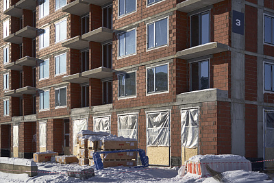 Брусника в Академическом