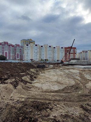 г. Брянск, Улица Романа Брянского