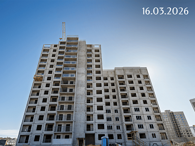 Инстеп.Бабяково