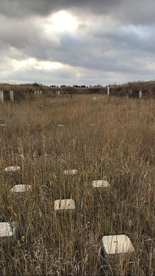 г. Омск, б-р Архитекторов