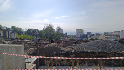 Сиалия Космос Селекшн 