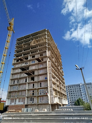 г. Набережные Челны, Улица Ш. Усманова, между гаражами ПСО