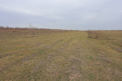 Новый Ростов 81 Литер