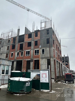 Северное Сияние Премиум