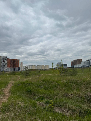 Город-парк Первый Московский (9 ф. к.3)
