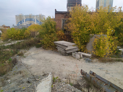г. Новосибирск