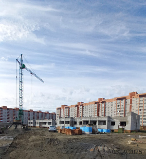 г. Новоалтайск, Улица Спортивная