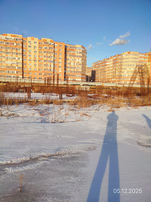 Мирапорт